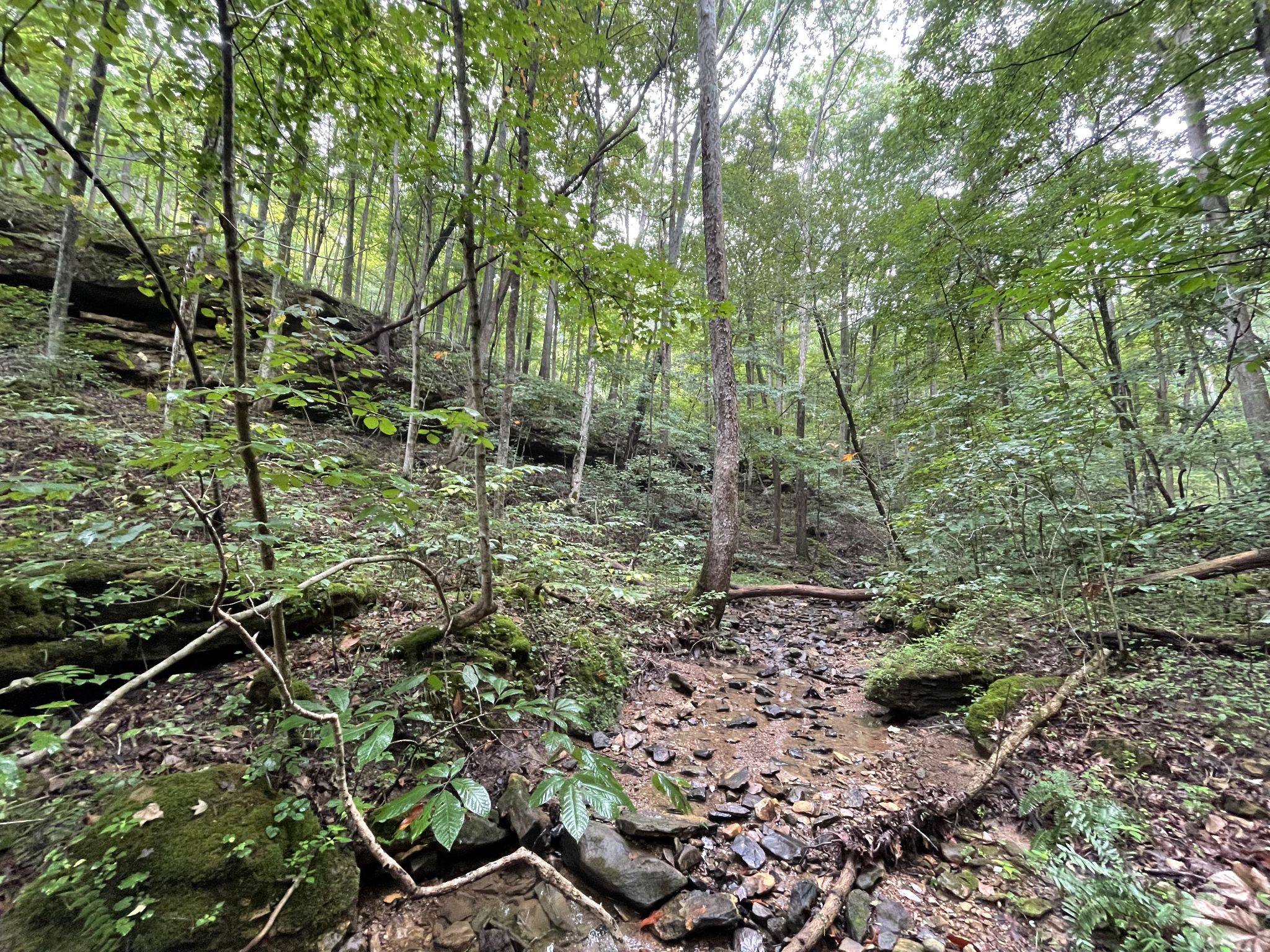 Adams county habitat